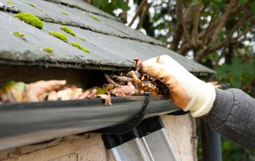 gutter cleaning Craigmill