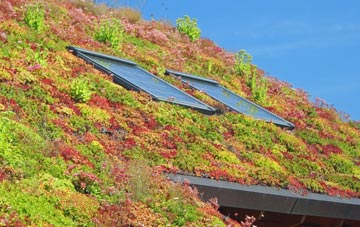 Craigmill living roof systems
