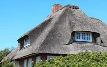 thatch roofing Craigmill